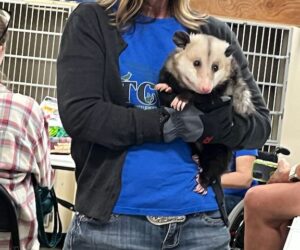 Tri County Wildlife Center