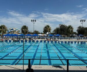 Swim Meet and Olympics