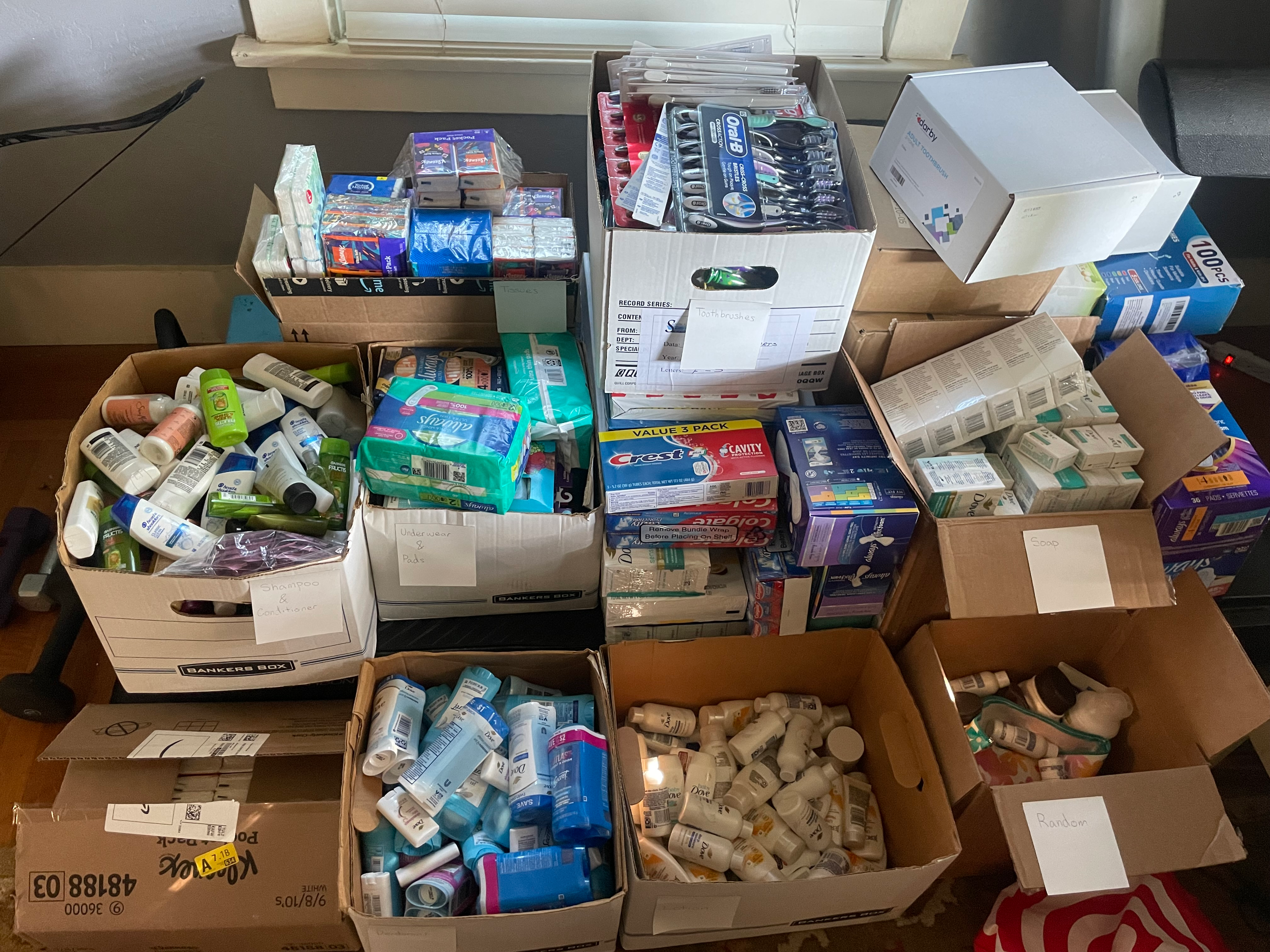 Community Service Project Progress