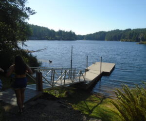 Summer Plans