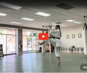 1000 Reps of Kata