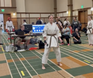 Isshinryu Hall of Fame