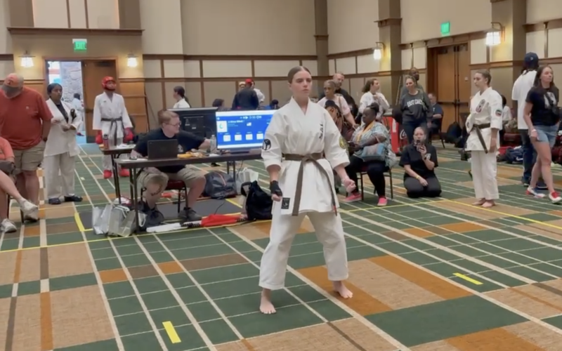 Isshinryu Hall of Fame