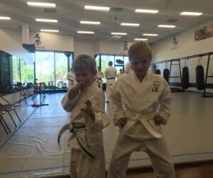 My Karate History