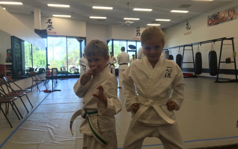 My Karate History
